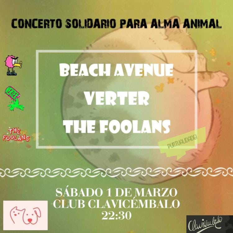 CONCERTO SOLIDARIO PARA ALMA ANIMAL