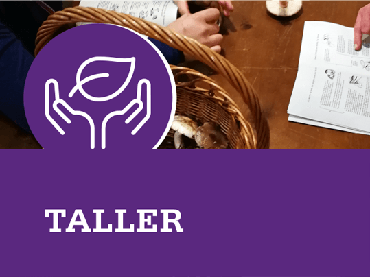 Taller ambiental: Rastros y huellas