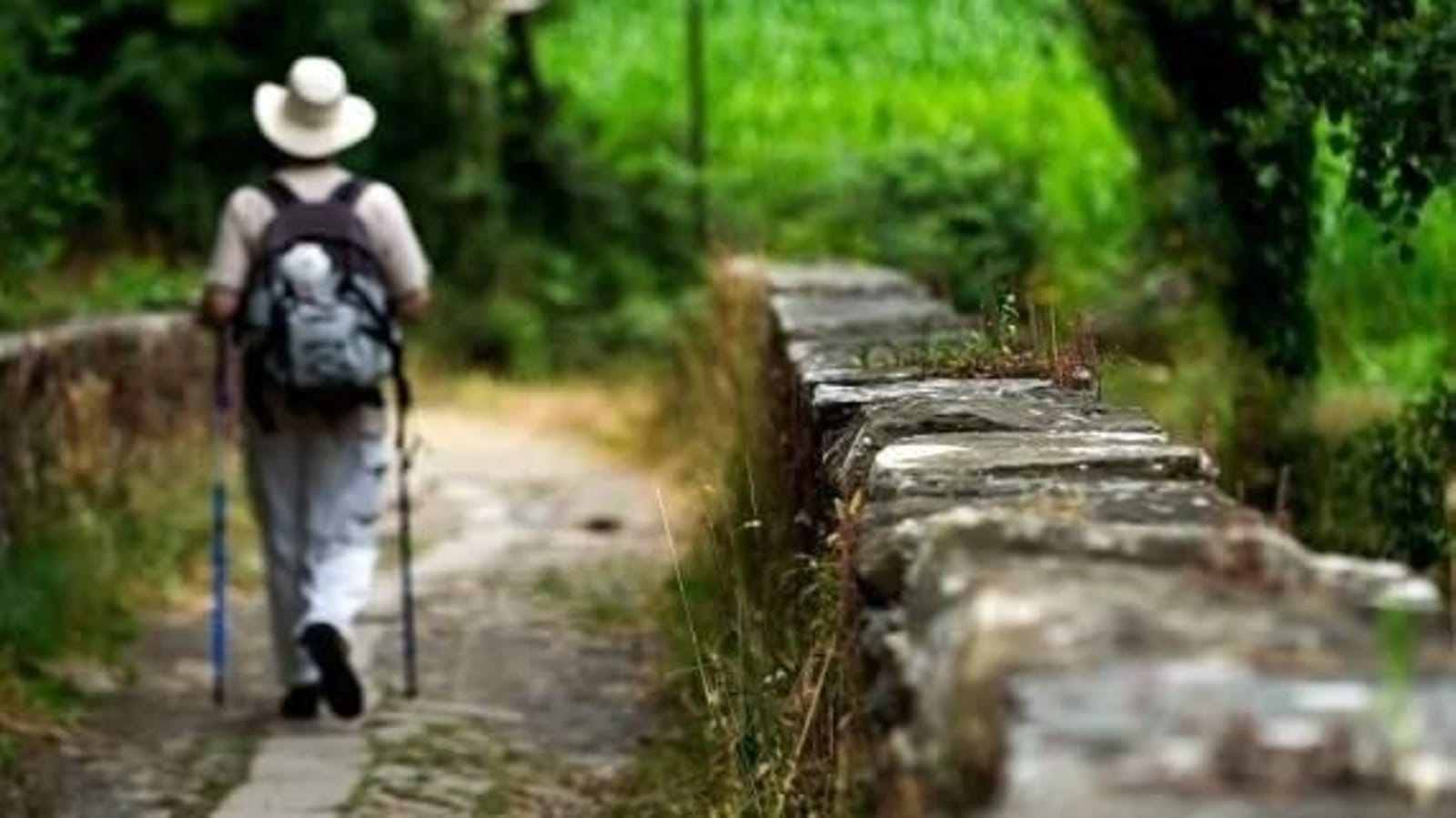 Camino de la Vía de la Plata por etapas