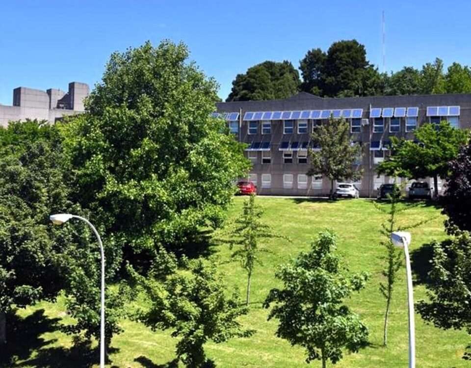 13º Young Minds Leadership Meeting