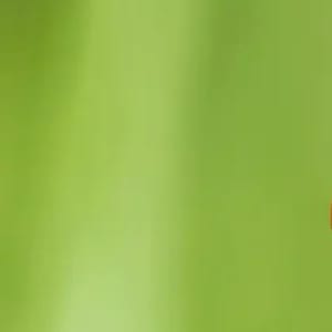 Nuestros diminutos vecinos