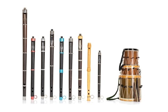 Concierto: Banda Municipal de Txistularis con una invitada muy especial, la poeta María Elisa Rueda