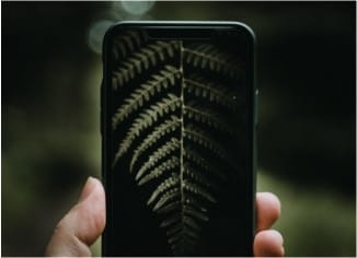 Iniciación ao Naturalismo: Medios e Dispositivos