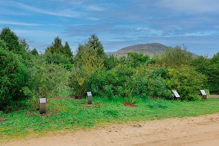 Recorrido naturalístico: Visita guiada al Jardín Botánico de Olarizu: el bosque mediterráneo