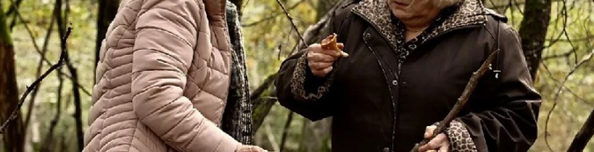 Cine: Cuando cae el otoño