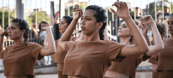 TERRITORI DANSA