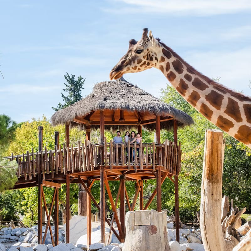 Zoo Aquarium de Madrid