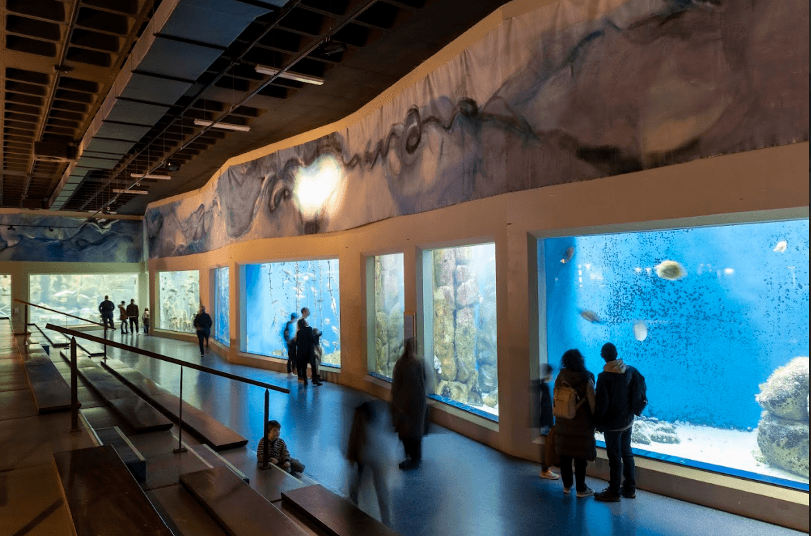 Viaxe ao centro do Aquarium