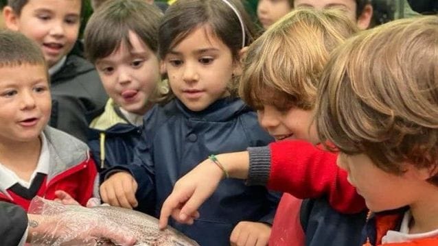 Visitas guiadas al Mercado de Pontevedra para centros educativos