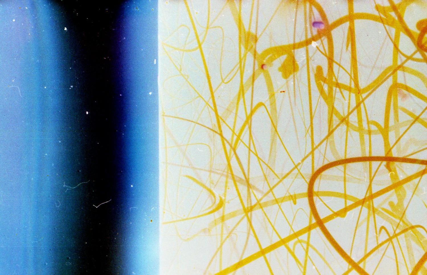 Karen Barad. Ecología de la nada.