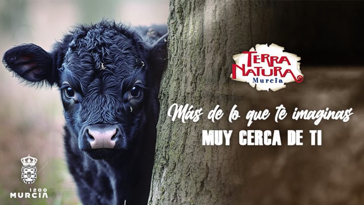 La vaca enana en Terra Natura Murcia