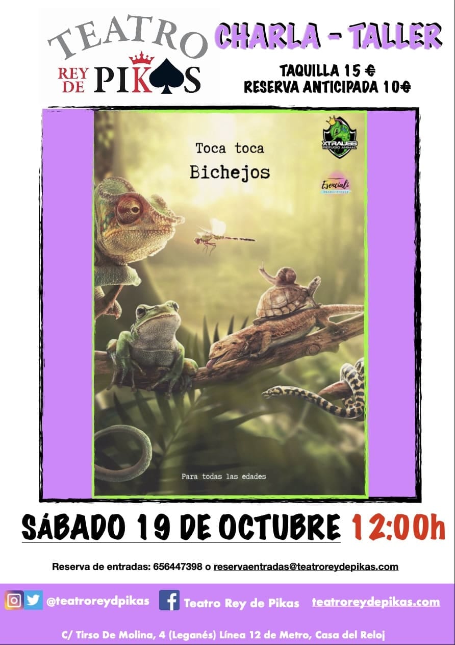 TOCA, TOCA BICHEJOS. Ocio con niños para la concienciación medioambiental