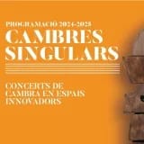 Cambres Singulars: Esther Pinyol (arpa)