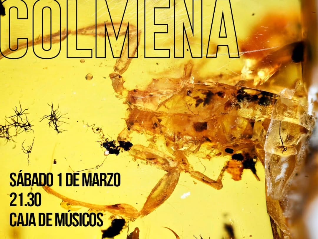 Concierto de Colmena