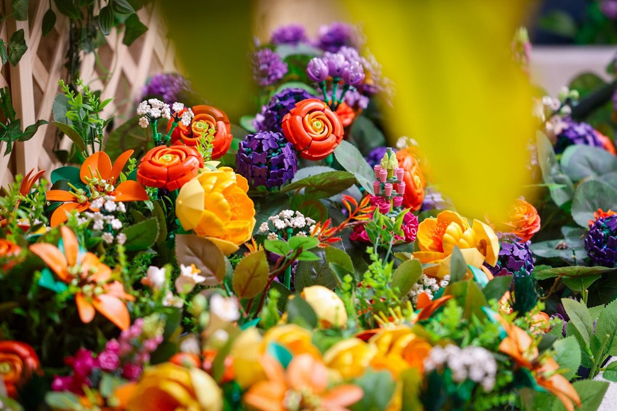Festival de los Patios de Córdoba