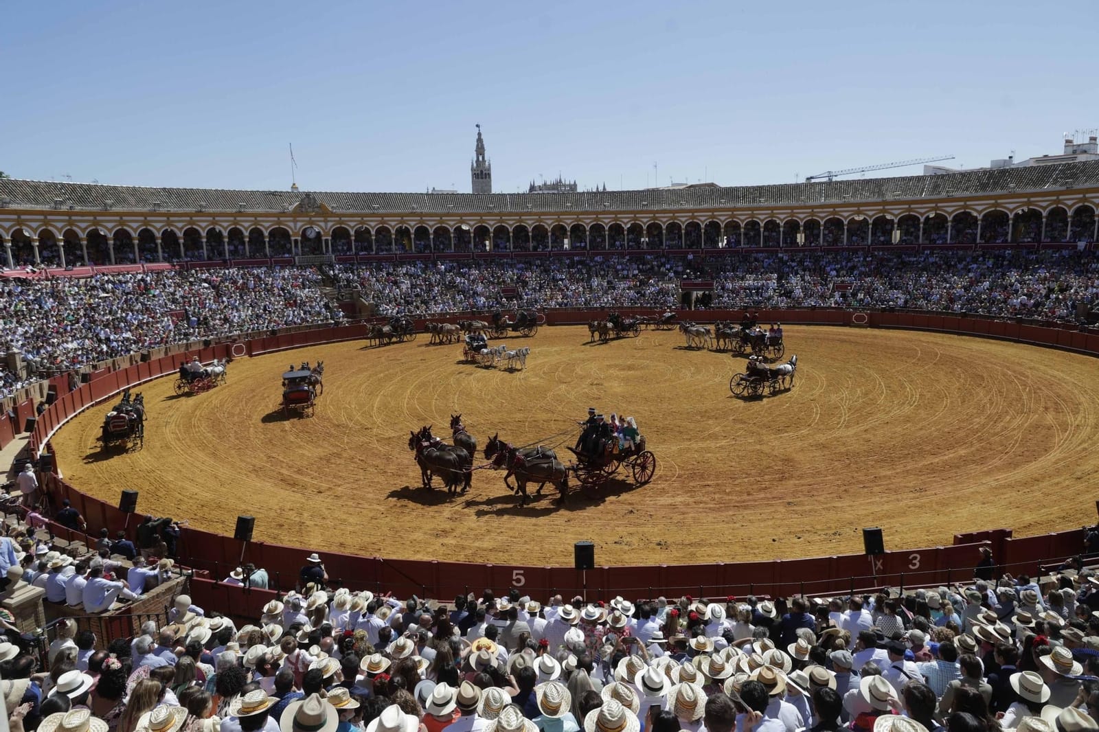 Exhibición de Enganches de Sevilla