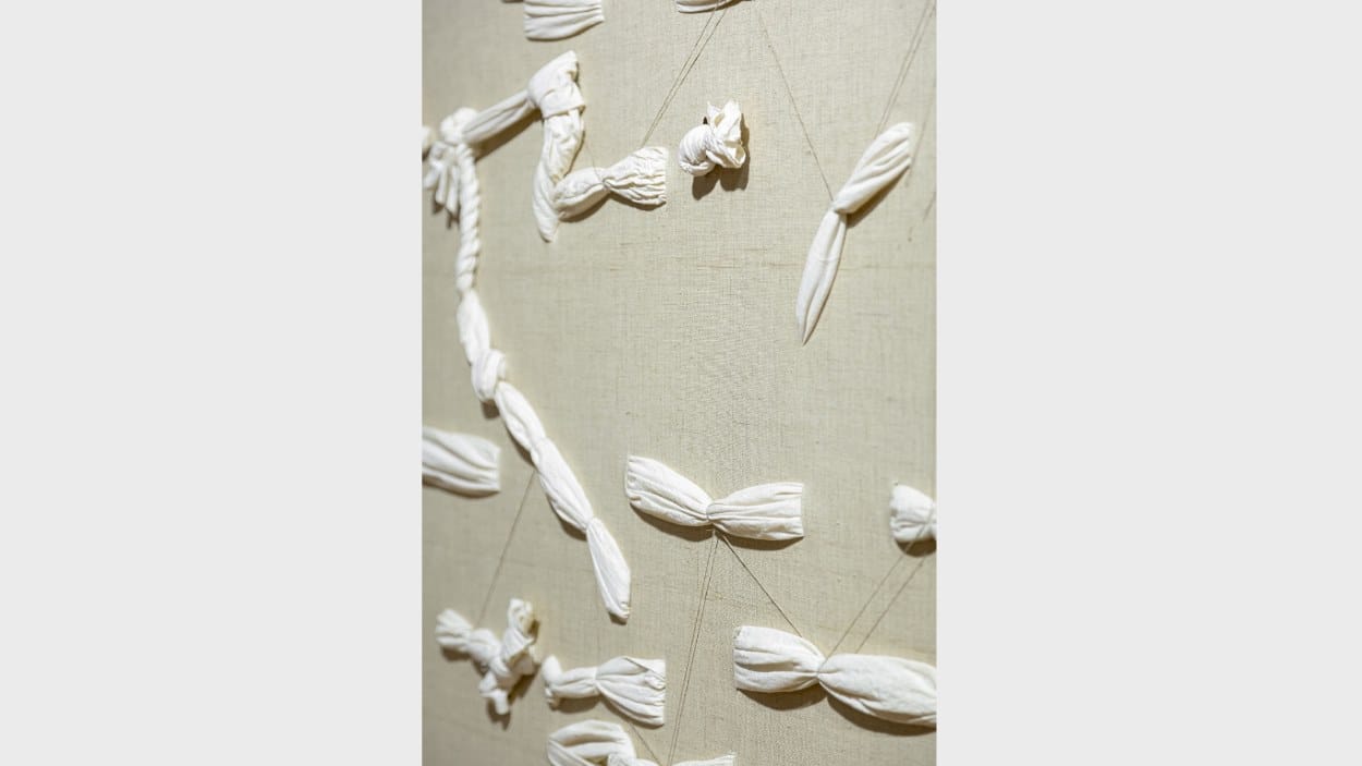 Exposició: 'Col·lecció. Fascicle 5: Singulars'