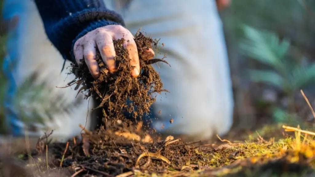 Sesiones informativas sobre el uso de composteros comunitarios