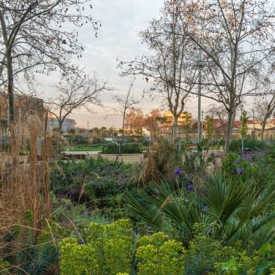 Parc de les Tretze Roses