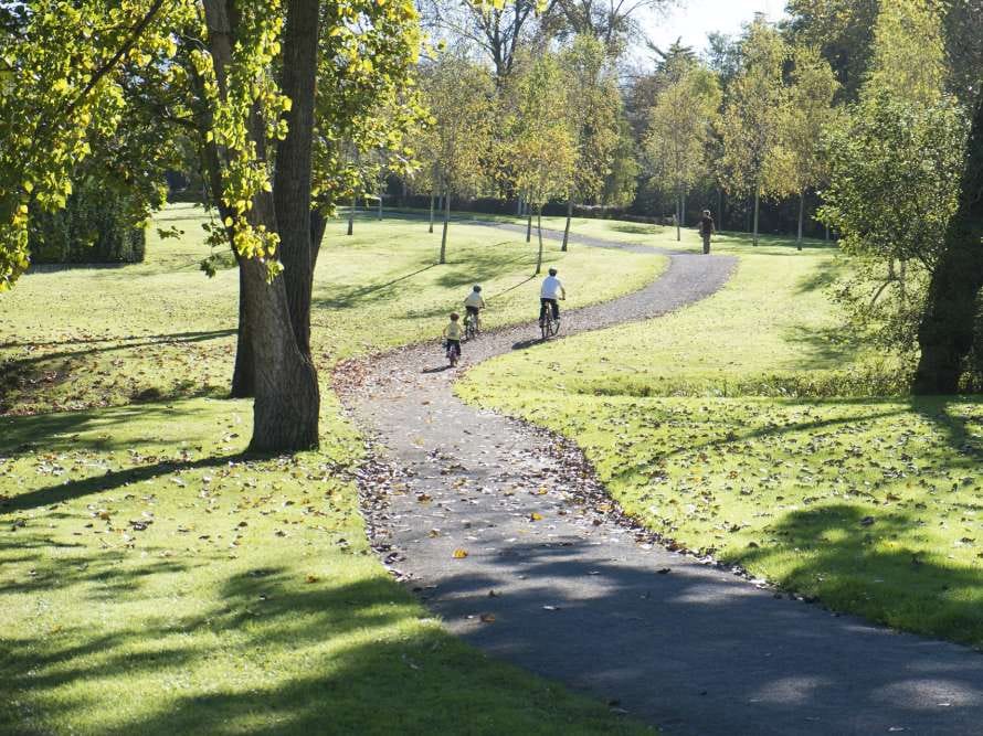 Paseo botánico por la Senda del Piles (V Biomaratón de Flora)
