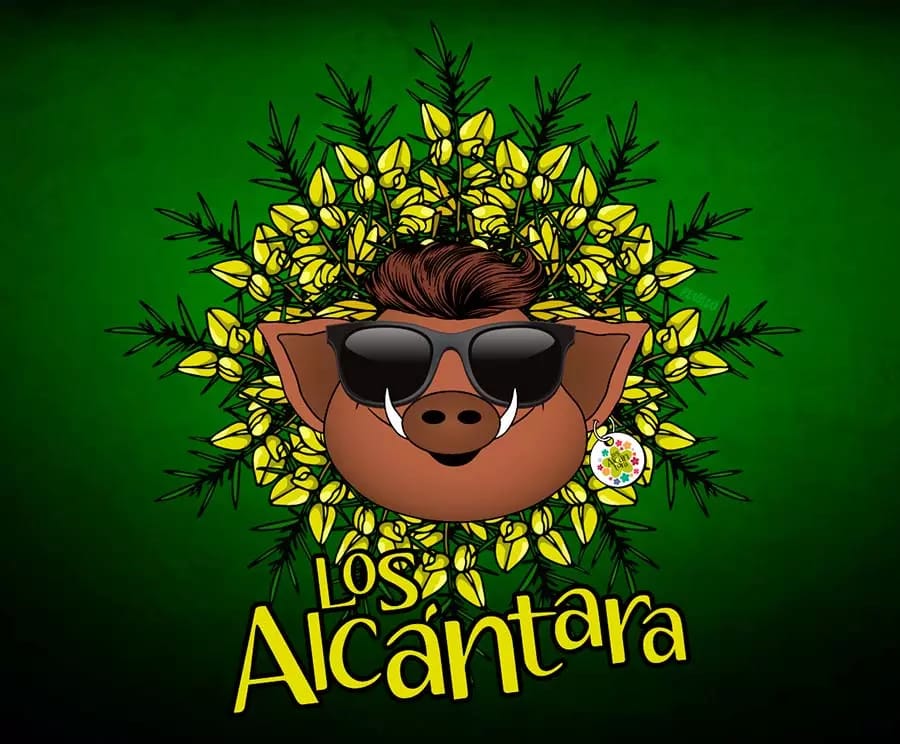 Actuación de Los Alcántara