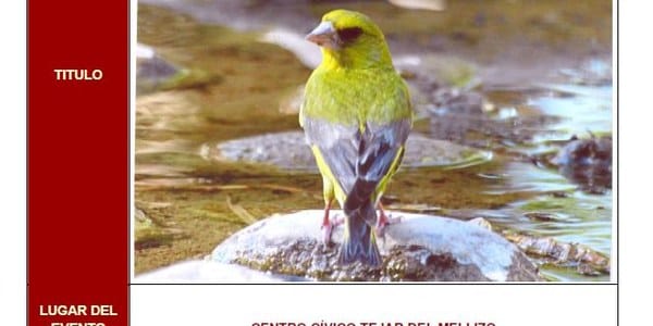 EXPOSICIÓN DE PINTURA -Aves del Parque de los Príncipes-