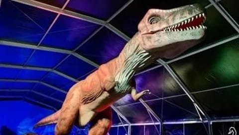 Ciclo de charlas Paleontología para todos