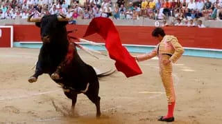 Corrida de toros