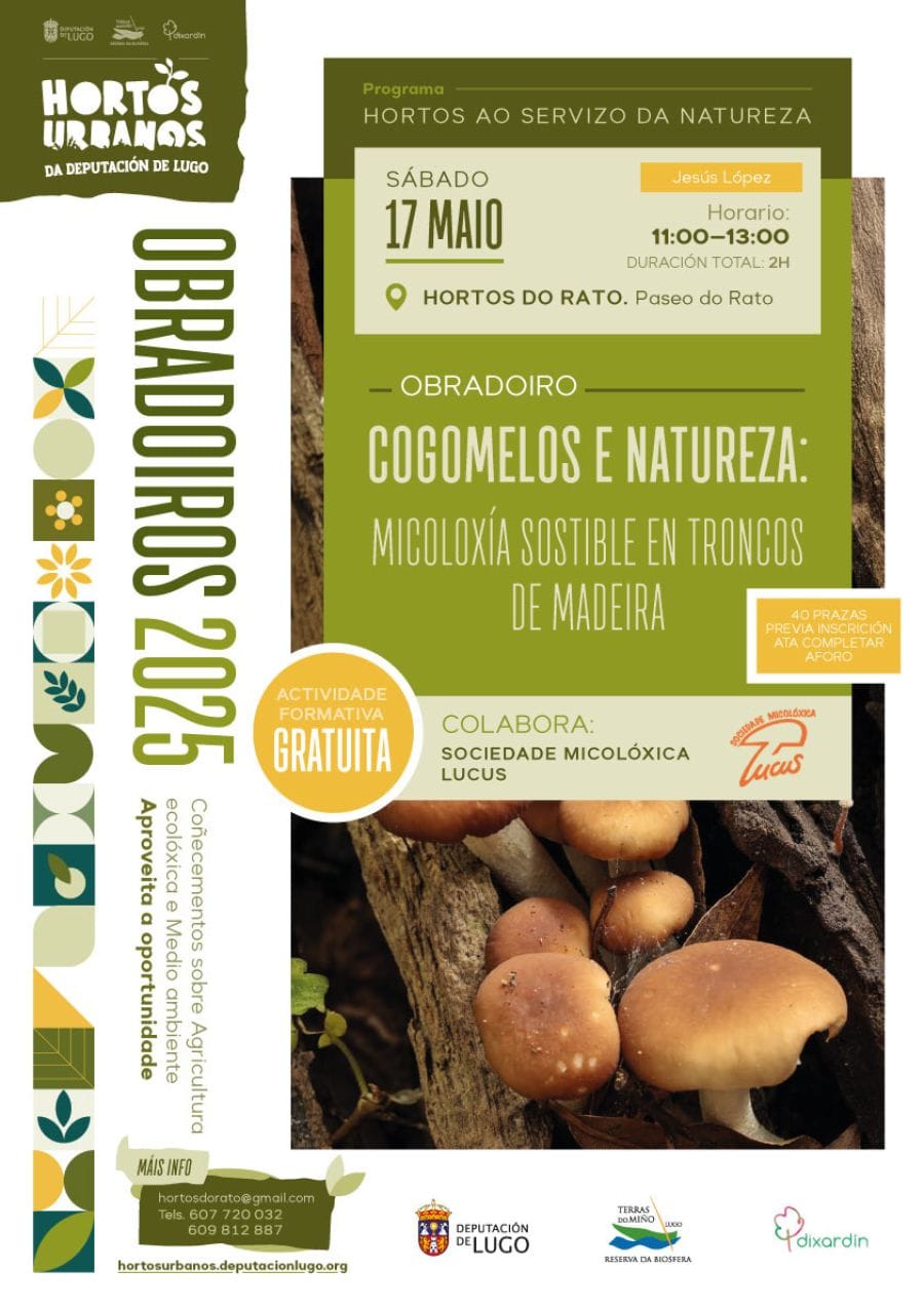 Obradoiro COGOMELOS E NATUREZA