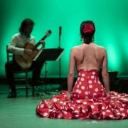 Ciclo de conciertos Mediterranean Guitar