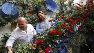 De Pastora a Guzmanas: Un elenco de patios
