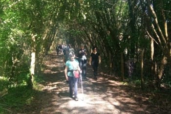 Caminos desde Altza Marismas de Jaizubia