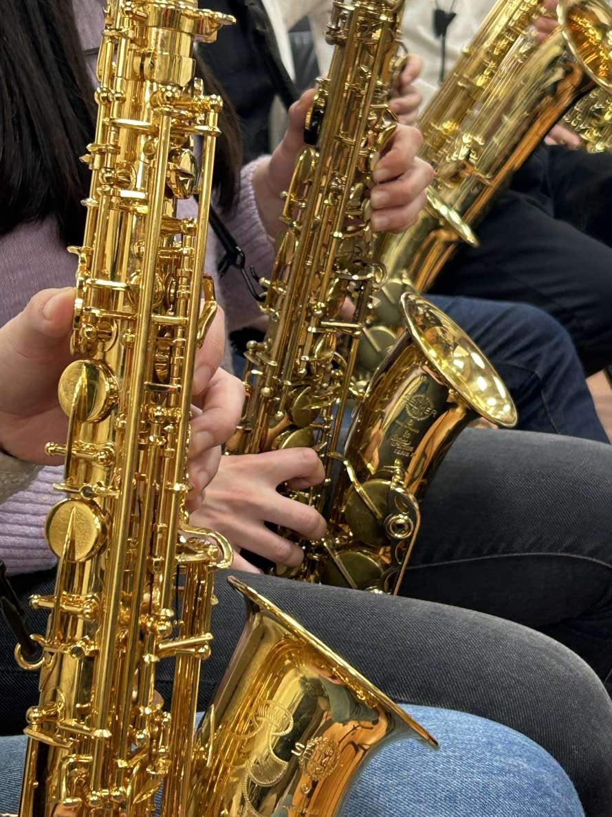 Concierto VIVA LA VIDA: Banda Sinfónica de Gijón