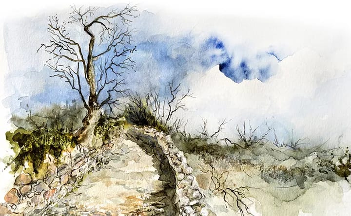 'Huesca, poesía y camino'