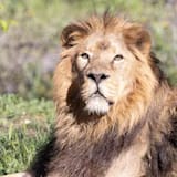 Visita al Zoo Aquarium de Madrid