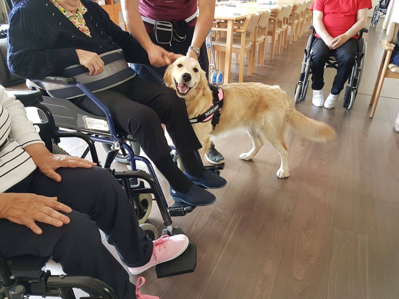 Jornada sobre educación y bienestar emocional: creando espacios saludables