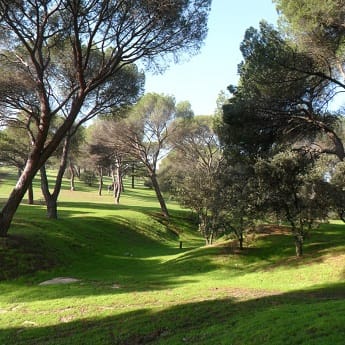 Senderismo Encinar de San Pedro