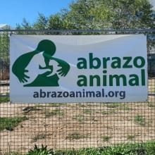 #Infórmate Voluntariado Abrazo Animal