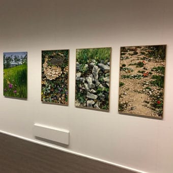 Juan Sagastizabal. 'Jardín silvestre'