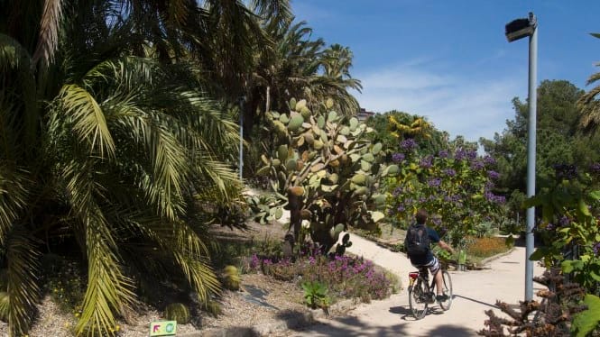 Jardín de Costa i Llobera