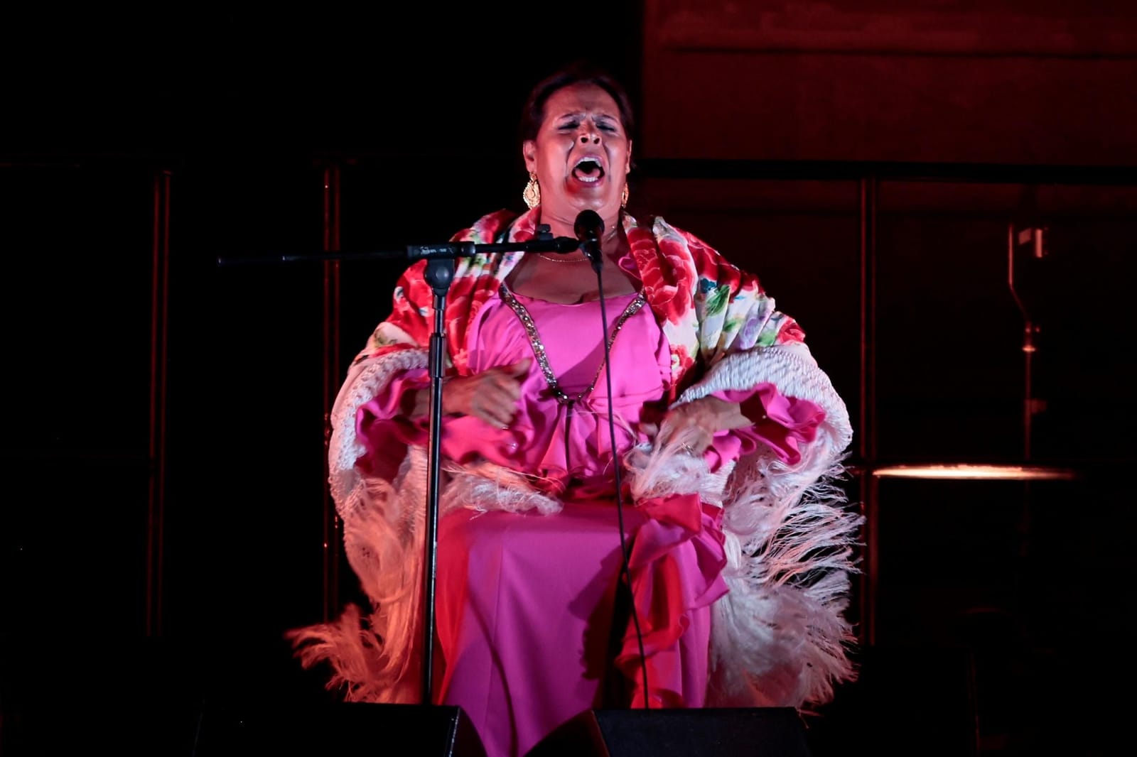 X Premios Internacionales del Flamenco ‘Silverio Franconetti’