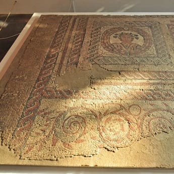 Entre Historias Y Jardines