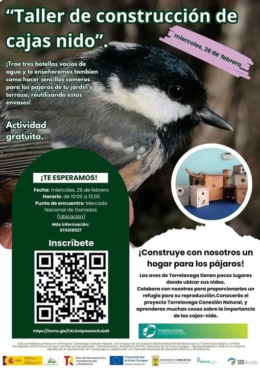 Taller de construcción de cajas nido