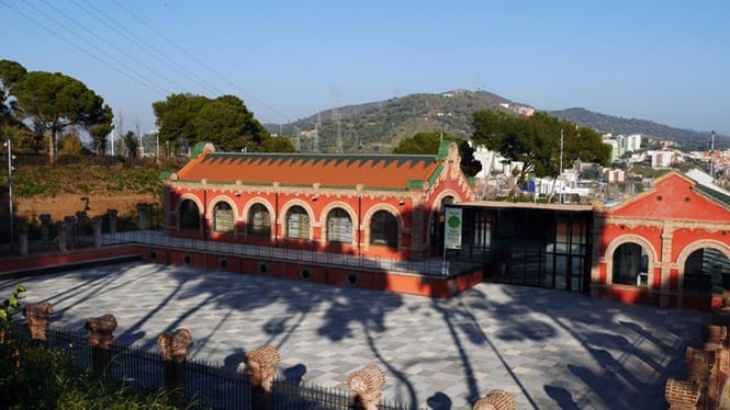Visitas al Muhba - Casa de l'Aigua