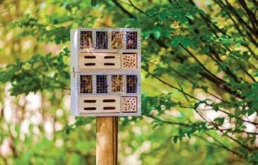 Taller de elaboración de hotel de insectos