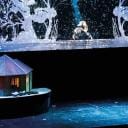 Andersen, el patito feo