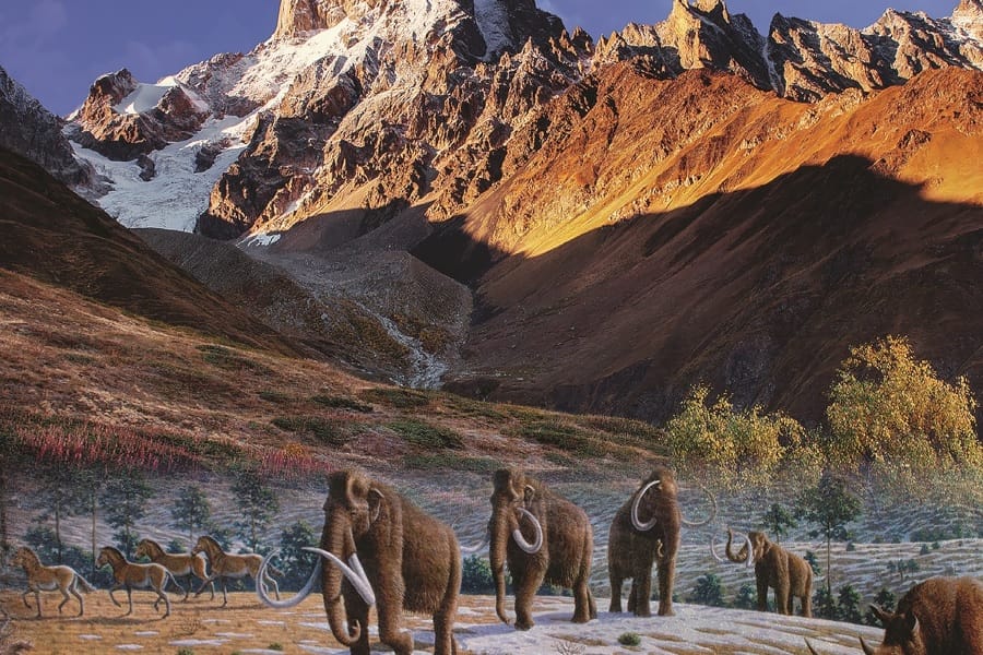 Nik kantatu eta dantza egiten du mendiak Irene Solà