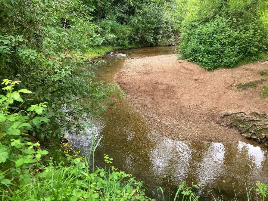 Limpiezas voluntarias Piles Natural