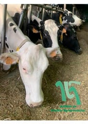 "Intensificación sostenible ¿puede ser una alternativa a la producción de leche?", conferencia