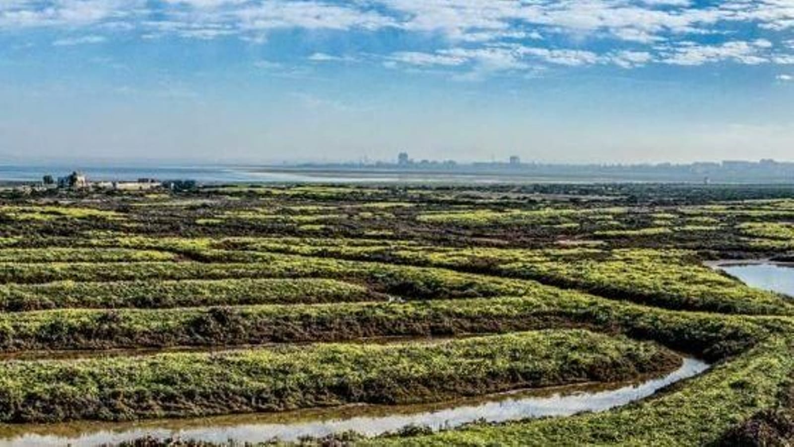 Charla de Juan Clavero